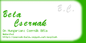 bela csernak business card